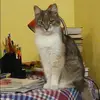 Отзыв от Евгения Золотова